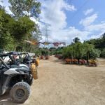 AMPLIARÁN VIALIDAD Y CONSTRUIRÁN CICLOVÍA EN LA RUTA DE LOS CENOTES