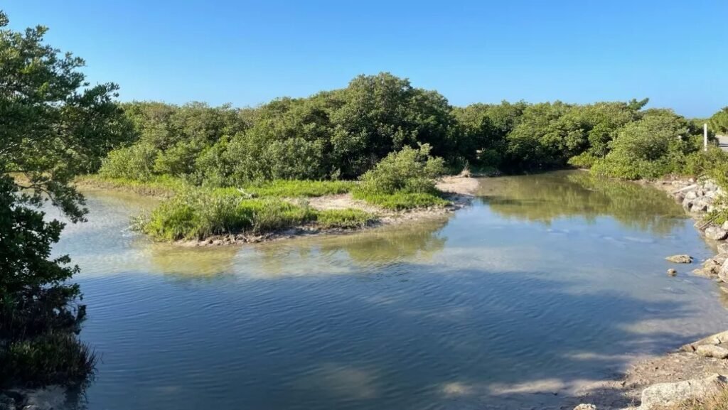 PLAYA MARMOTAS: UN TESORO ESCONDIDO EN YUCATÁN PARA SEMANA SANTA