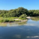 PLAYA MARMOTAS: UN TESORO ESCONDIDO EN YUCATÁN PARA SEMANA SANTA