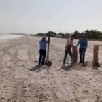 RESTRINGEN ACCESO A PLAYA NORTE DE CAMPECHE PARA PROTEGER ANIDACIÓN DE TORTUGAS