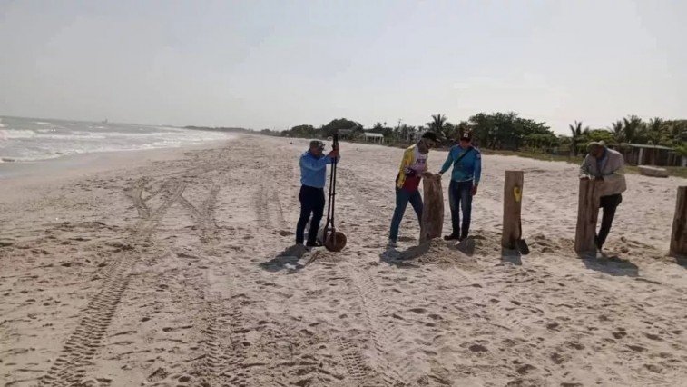 RESTRINGEN ACCESO A PLAYA NORTE DE CAMPECHE PARA PROTEGER ANIDACIÓN DE TORTUGAS
