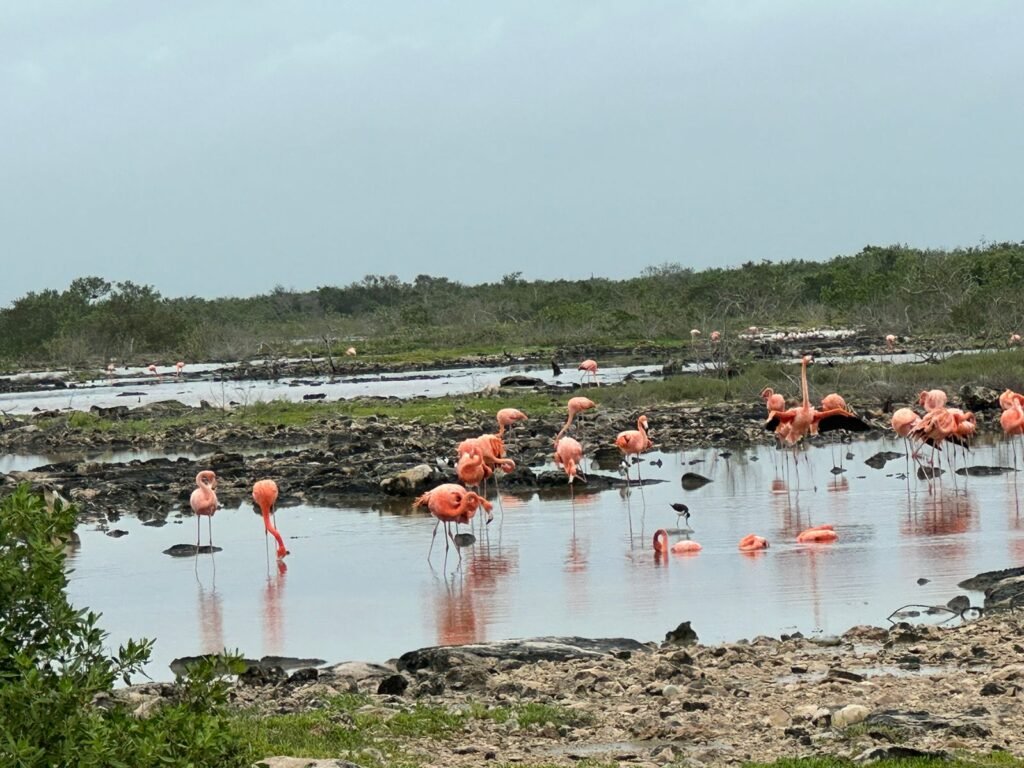 SAN CRISANTO SE CONSOLIDA COMO REFERENTE MUNDIAL DE TURISMO SUSTENTABLE