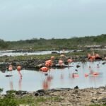 SAN CRISANTO SE CONSOLIDA COMO REFERENTE MUNDIAL DE TURISMO SUSTENTABLE