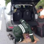 ALTA TEMPERATURA EN CAMPECHE PROVOCA LA MITAD DE LOS ACCIDENTES VIALES