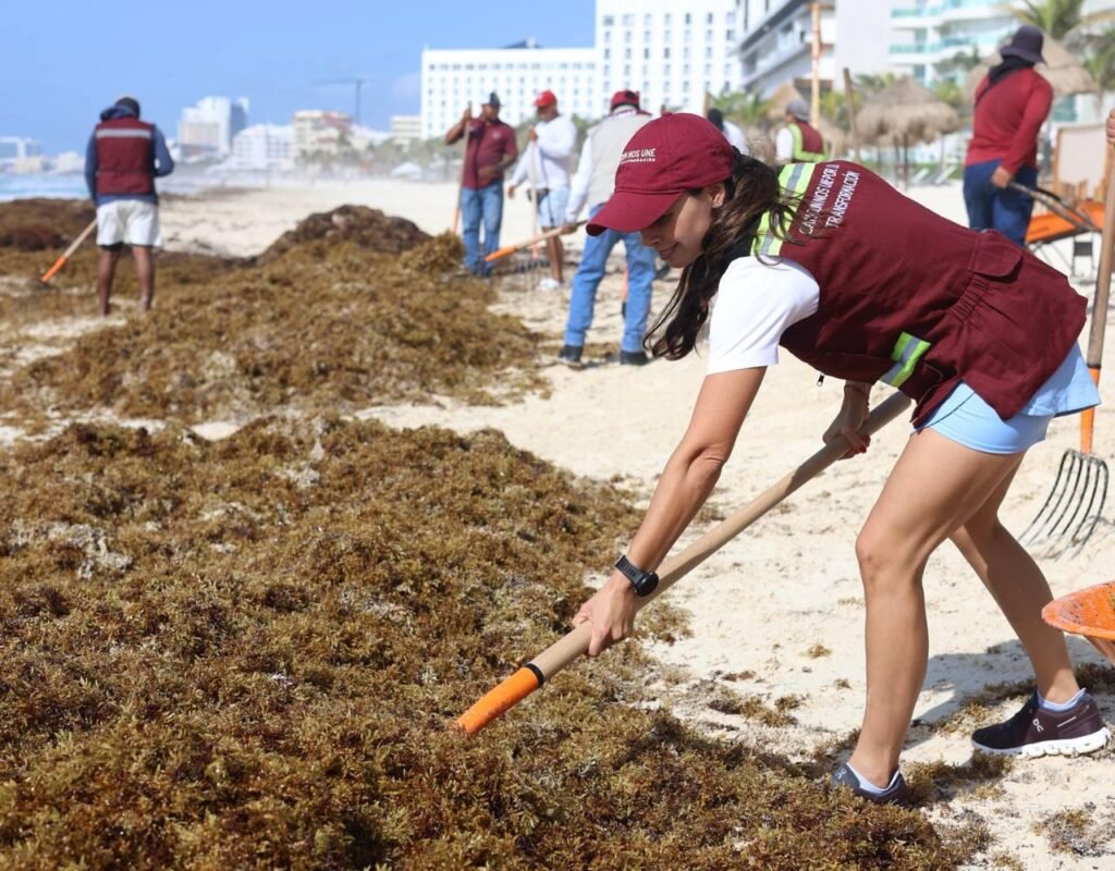CANCÚN SE DISTINGUE EN EL CARIBE POR SU RESPUESTA EFECTIVA ANTE EL SARGAZO