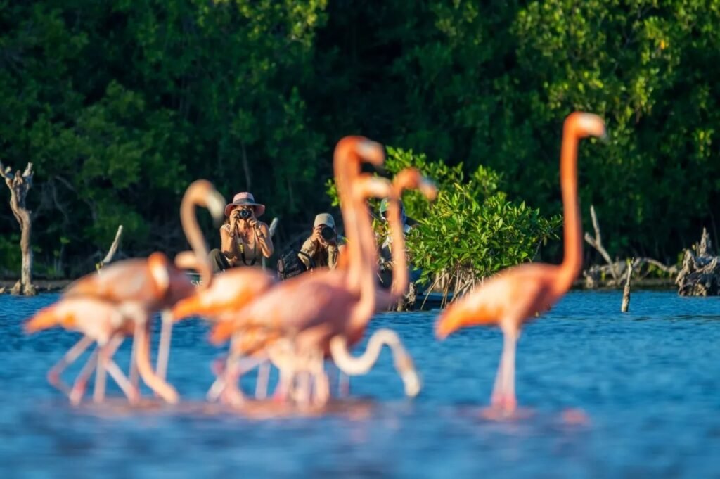 YUCATÁN DESPLIEGA 22 CAMPAÑAS INTERNACIONALES PARA CONQUISTAR AL TURISMO MUNDIAL