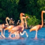 YUCATÁN DESPLIEGA 22 CAMPAÑAS INTERNACIONALES PARA CONQUISTAR AL TURISMO MUNDIAL