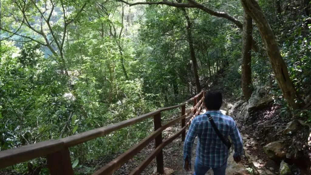 TENABO, HOPELCHÉN Y CALAKMUL, PILARES DEL TURISMO ALTERNATIVO EN CAMPECHE