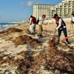 GOBIERNO DE QUINTANA ROO DENUNCIA CAMPAÑAS FALSAS SOBRE SARGAZO