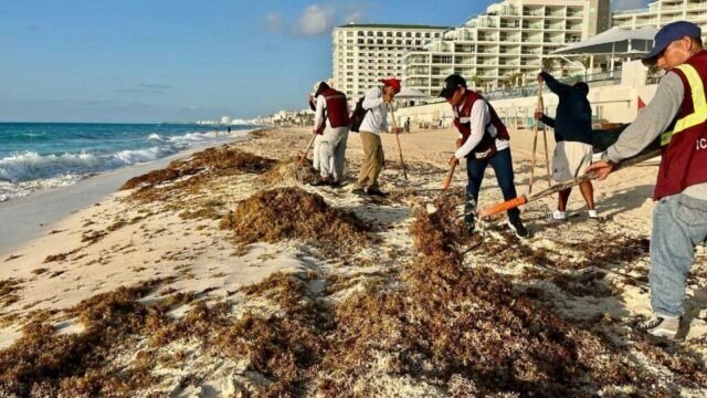 GOBIERNO DE QUINTANA ROO DENUNCIA CAMPAÑAS FALSAS SOBRE SARGAZO