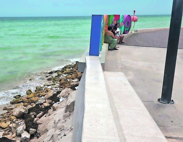 PLAYAS DESAPARECEN EN YUCATÁN: EROSIÓN COSTERA GOLPEA FAUNA Y TURISMO