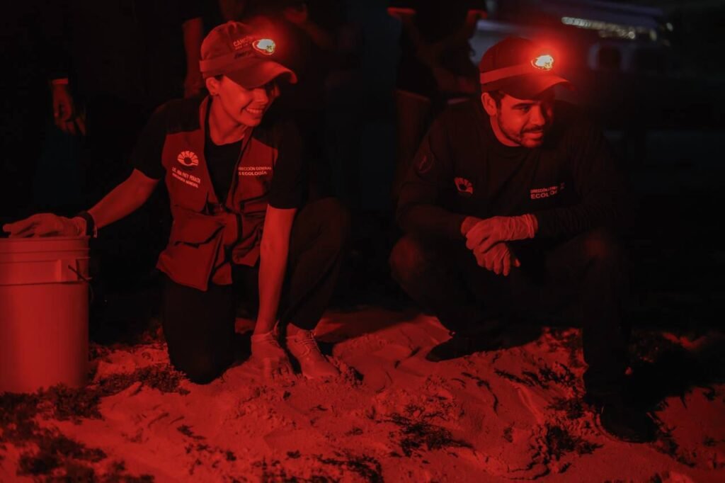 CERRAMOS CON ÉXITO TEMPORADA DE TORTUGAS MARINAS 2025: ANA PATY PERALTA