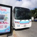 RUTA AL MAR ARRANCA EN CANCÚN CON TRANSPORTE GRATUITO Y REGLAS CLARAS