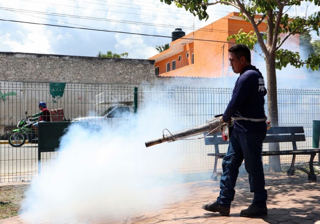 ALERTA SANITARIA EN LA PENÍNSULA DE YUCATÁN ANTE POSIBLE REPUNTE DE CHIKUNGUNYA