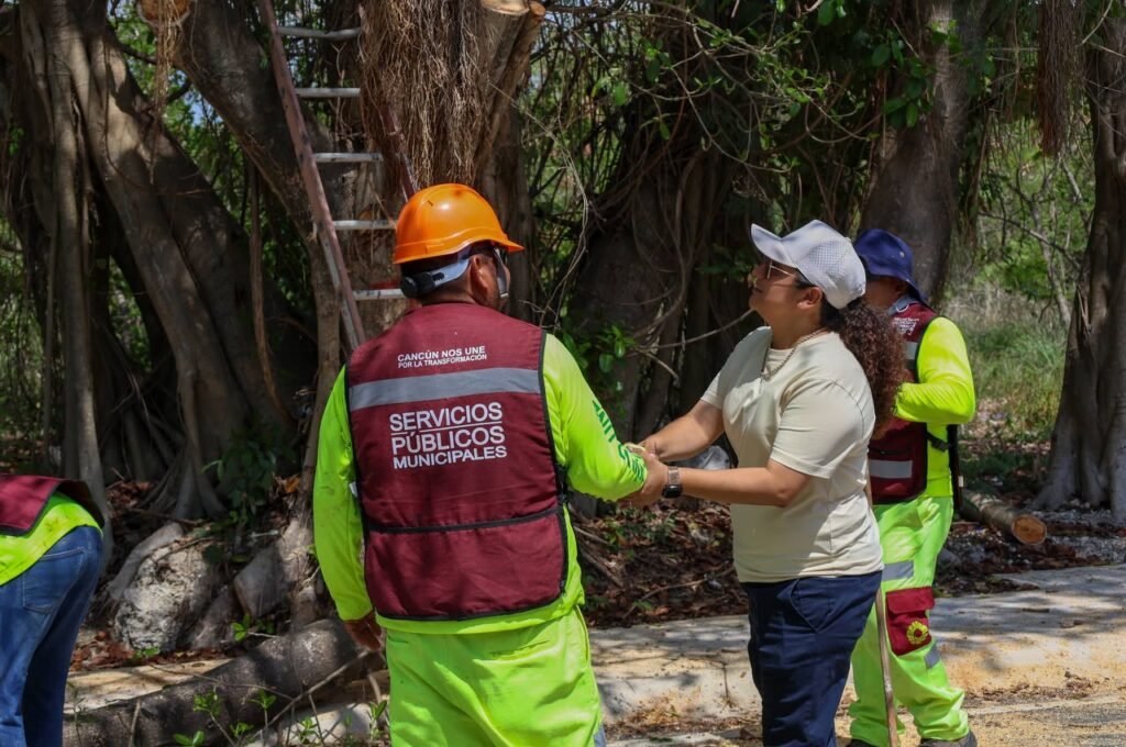 BERTHA PONE EN ALERTA A MÉXICO: LLUVIAS TORRENCIALES Y RIESGO DE INUNDACIONES EN VARIOS ESTADOS