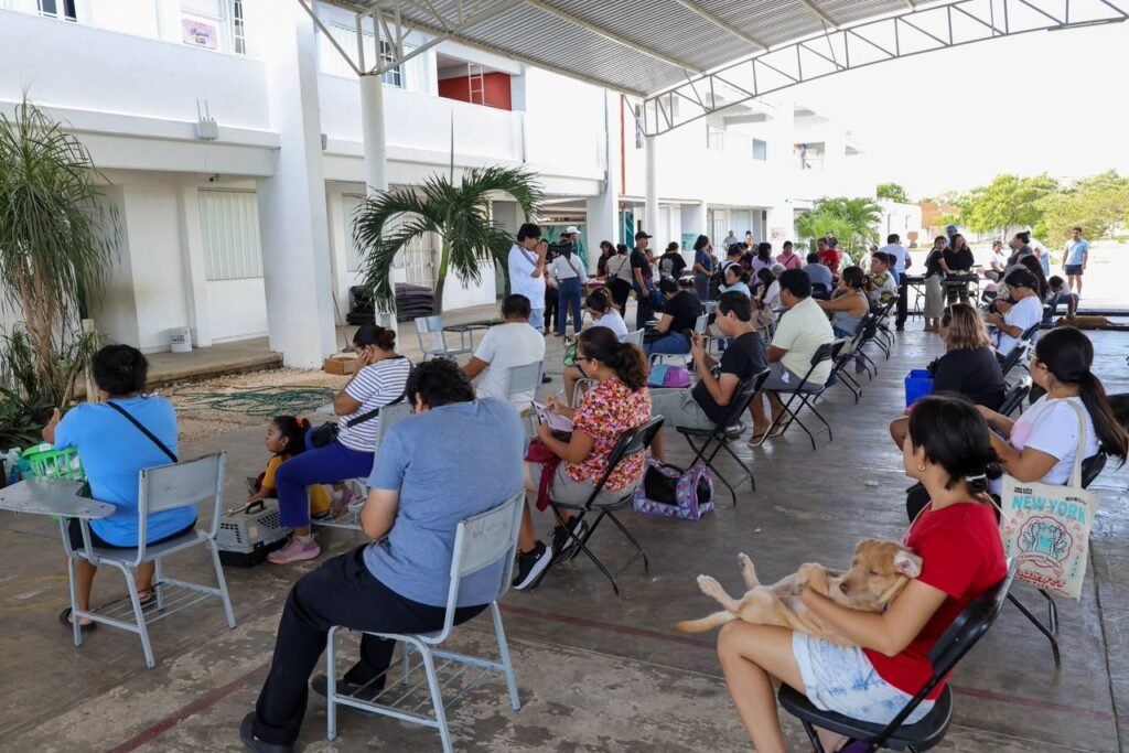 REFUERZA AYUNTAMIENTO DE BJ EL BIENESTAR ANIMAL CON JORNADAS DE ESTERILIZACIÓN